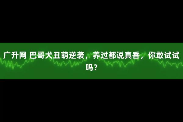 广升网 巴哥犬丑萌逆袭，养过都说真香，你敢试试吗？