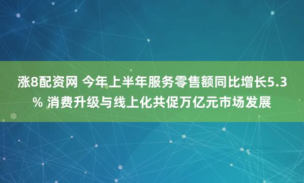 涨8配资网 今年上半年服务零售额同比增长5.3% 消费升级与线上化共促万亿元市场发展