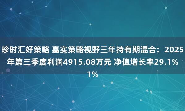 珍时汇好策略 嘉实策略视野三年持有期混合：2025年第三季度利润4915.08万元 净值增长率29.1%