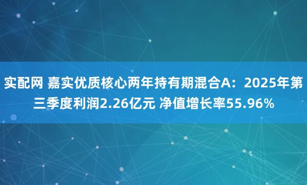 实配网 嘉实优质核心两年持有期混合A：2025年第三季度利润2.26亿元 净值增长率55.96%